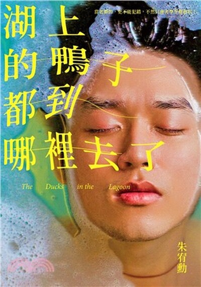 湖上的鴨子都到哪裡去了